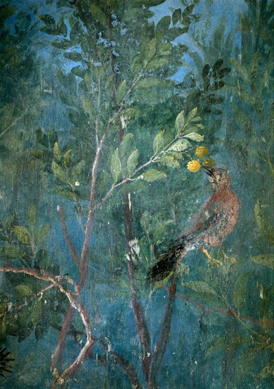 Giardino trompe l